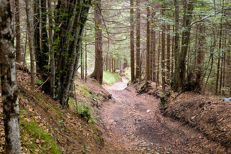 Passeggiata fino a Pr Pian